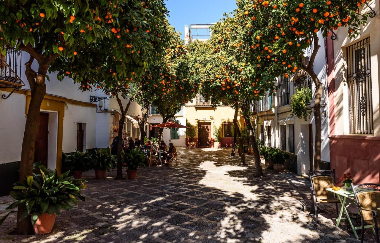 Wish Suite La Mata De Sevilla Dış mekan fotoğraf